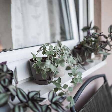 Apartman Centar Doboj Dış mekan fotoğraf
