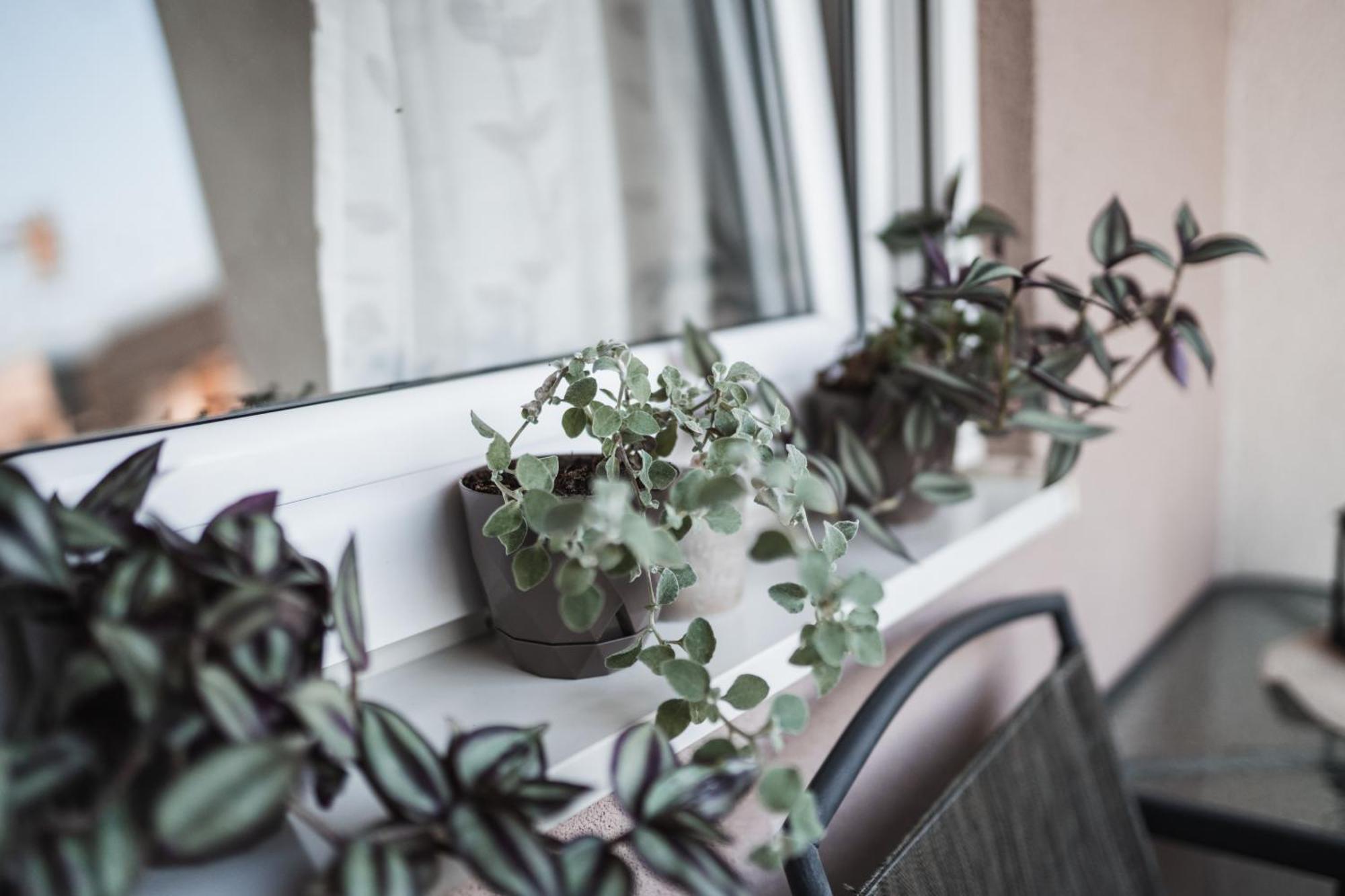 Apartman Centar Doboj Dış mekan fotoğraf